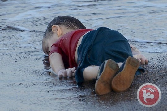 الازهر: مشهد الطفل السوري وصمة عار في جبين الانسانية