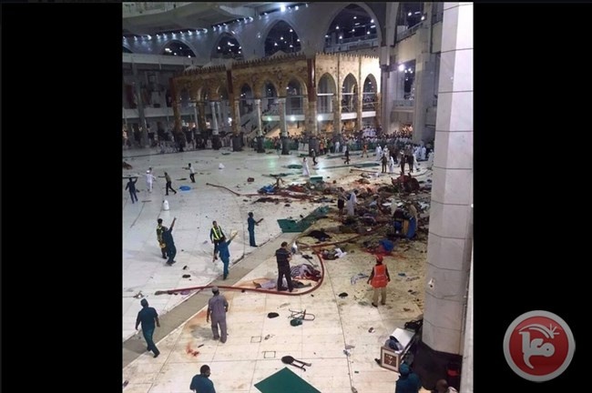 بعد حادثة مكة.. حجاج فلسطين بخير