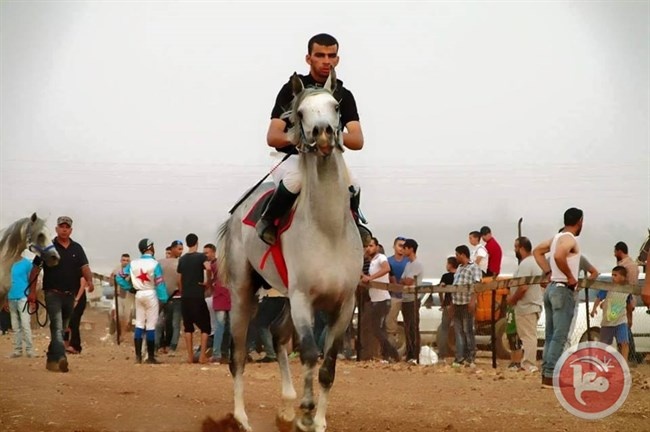 نادي مرج بن عامر ومركز دير غزاله ينجزان الجولة الثالثة من سباق الخيول