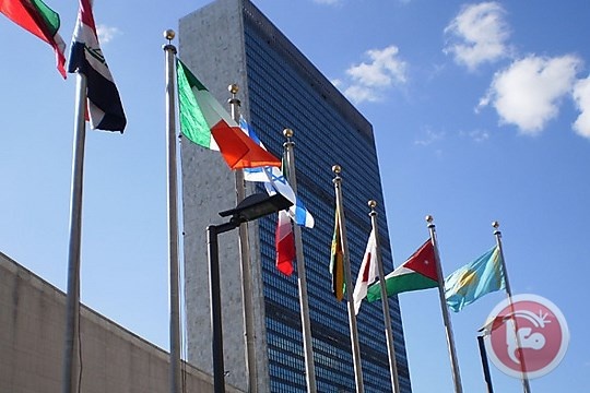 تحرش جنسي داخل أروقة الأمم المتحدة