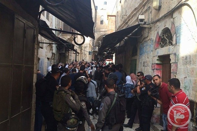 مستوطنون ينكلون بالمواطنين في القدس القديمة