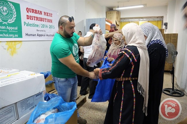 أضحية العيد فقط بـ500 شيقل.. الهيئة الخيرية مع استراليا