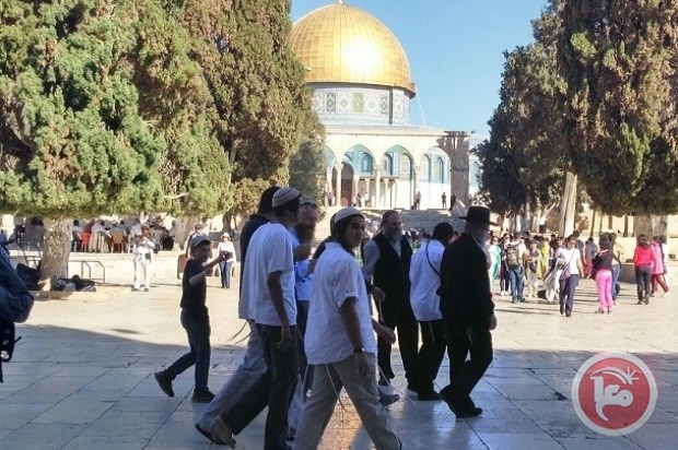 On the sixth day of Passover, dozens of settlers storm Al-Aqsa