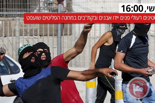 بدء تطبيق قرار إطلاق النار قبل المصادقة عليه