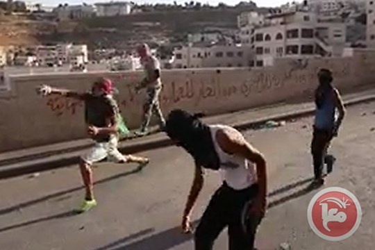 السجن الفعلي من 3- 5 سنوات على خلية من العيسوية