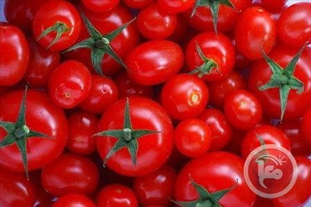 البندورة ...في العلالي