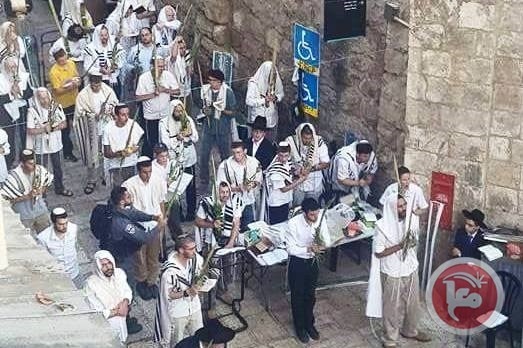 مستوطنون يؤدون طقوسا تلمودية في البلدة القديمة 