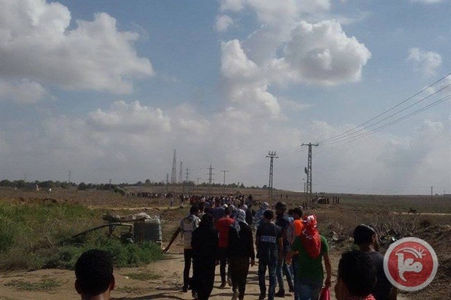 تظاهرة حاشدة شمال غزة دعما للانتفاضة