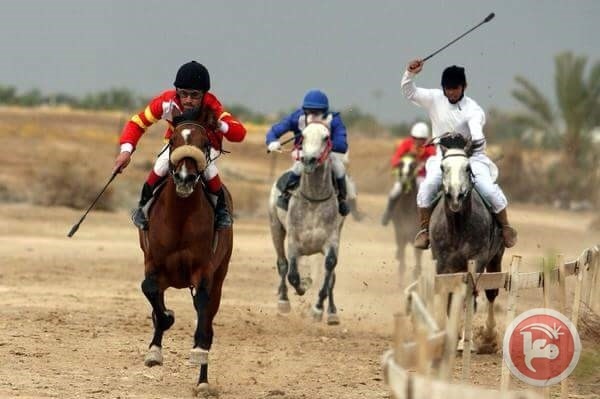 الاعلان عن موعد انطلاق موسم سباقات السرعة في نادي اريحا للفروسية