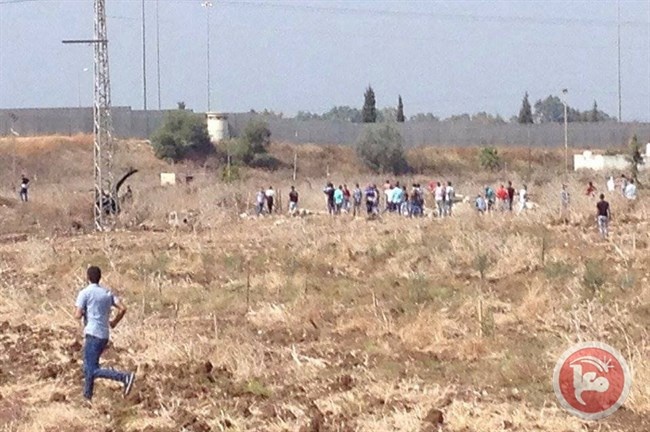 مواجهات غرب طولكرم.. قنابل غاز الاحتلال تخنق طلبة &quot;خضوري &quot;