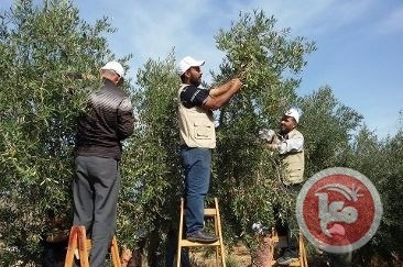 الإغاثة الزراعية تطلق حملة &quot;إحنا معكم&quot; في بيت لحم