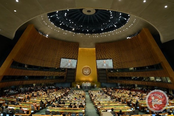 مصر تستنكر تقاعس الامم المتحدة عن حل القضية الفلسطينية