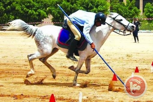 دورة للفروسية في مسقط