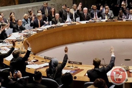 المالكي: نسعى لتقديم مشروع قرار لمجلس الأمن ضد الاستيطان الشهر المقبل
