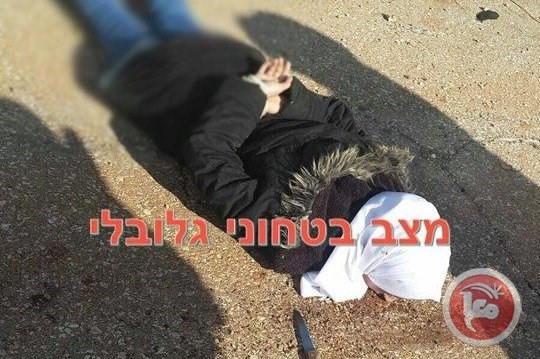 الحكومة تطالب بحماية دولية في مواجهة حملة الاعدامات الاسرائيلية