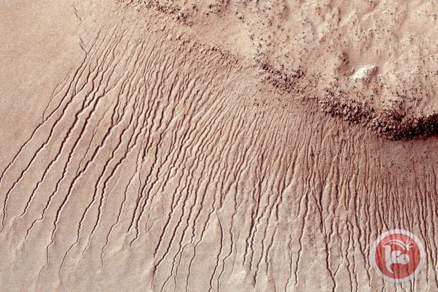 دلائل على وجود حياة منذ زمن على المريخ