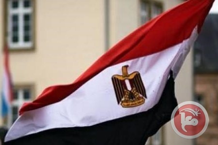 الشوبكي: مصر الداعم الرئيسي لقضية فلسطين