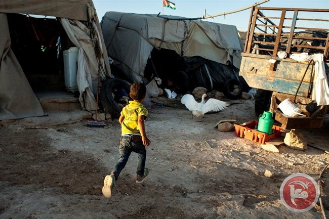 اعتقال ناشط فلسطيني يعمل مع بتسيلم