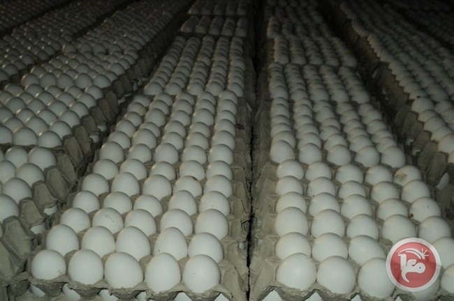 إسرائيل تمنع ادخال 18 الف بيضة قادمة من رام الله