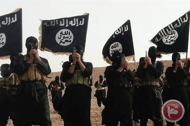 مقتل نائب البغدادي في سوريا