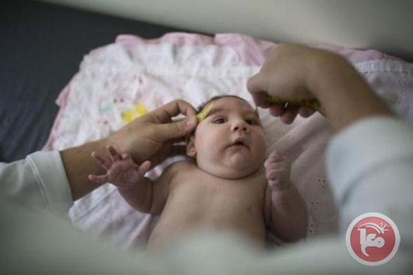 14 حالة إصابة جديدة بفيروس زيكا في فلوريدا