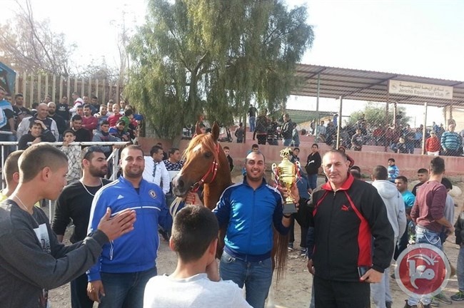 نجاح الجولة الرابعة لسباقات الخيل العربية الأصيلة