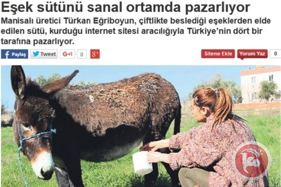 تركيا- ارتفاع أسعار الحمير بسبب زيادة الطلب على حليبها