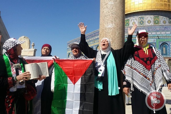 الاحتلال يعتقل سيدة فلسطينية بحجة مهاجمة شرطي احتلالي بالقدس