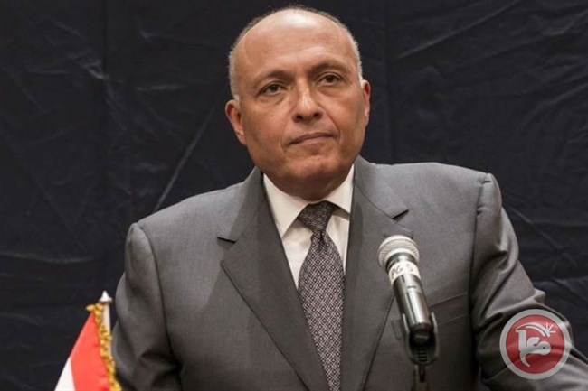 وزير خارجية مصر يجتمع بوزير الطاقة الاسرائيلي