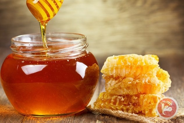 تعرف على 12 فائدة للعسل الأسود