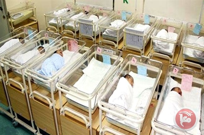 4495 مولودا جديدا خلال كانون ثاني بغزة