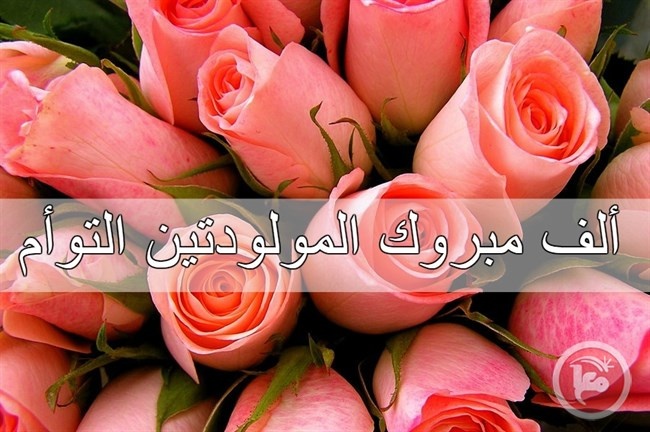 تهنئة بالمولود التوأم فرح و مرح الى محمد فوزي محمود