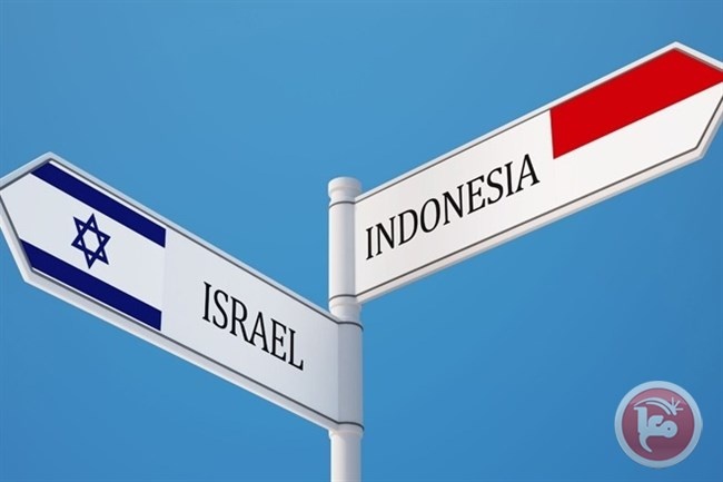 المجلس الأعلى للشباب والرياضة يأسف لقرار &quot;الفيفا&quot; تجريد أندونيسيا من استضافة كأس العالم للشباب