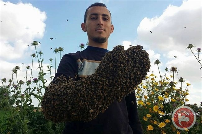 في خانيونس.. أبو روك يعالج &quot;الانقلابات&quot; داخل ممالك النحل