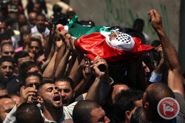 العام الفائت: 271 شهيداً فلسطينيا و40 قتيلاً إسرائيلياً