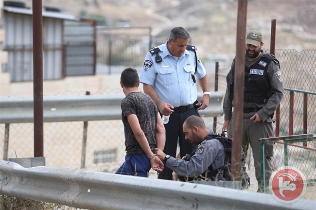 الاحتلال يعتقل النجل الثالث للشهيد أبو صبيح