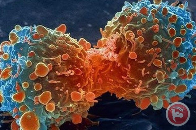 12 خطوة لتجنب الإصابة بالسرطان