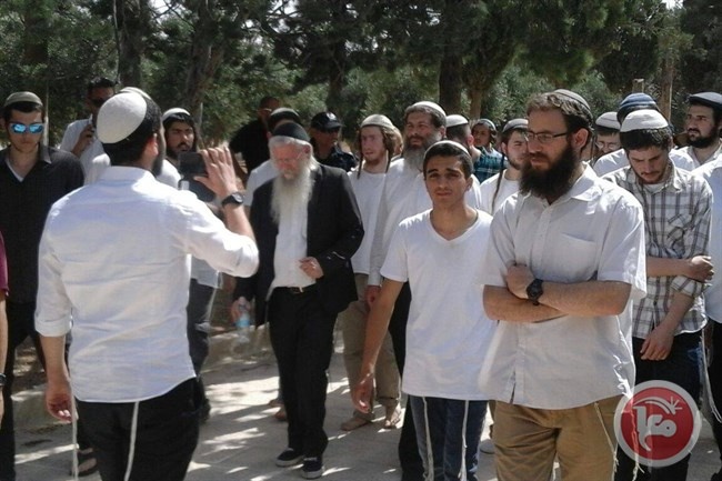 في ذكرى احتلال القدس- عشرات المستوطنين يقتحمون الاقصى
