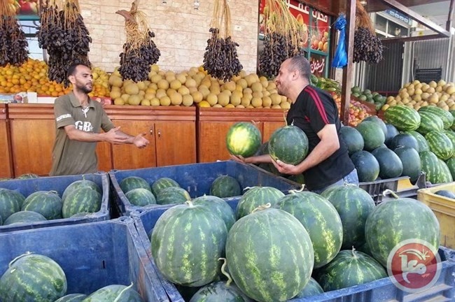 غزة تستورد البطيخ من اسرائيل