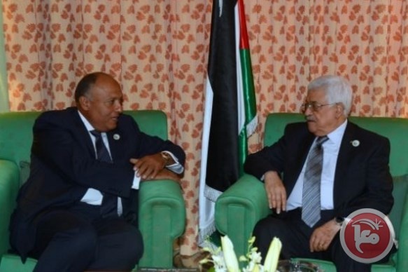شكري: مصر ليس لديها اي توجه لفرض أي رؤية على السلطة