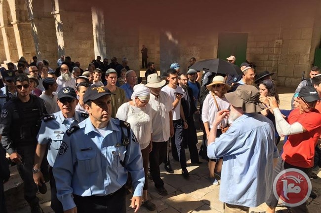 النائب أبو عرار يطالب بوقف مهزلة دخول اليهود للاقصى