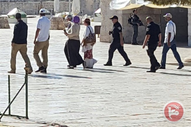 مستوطنون يقتحمون المسجد الأقصى