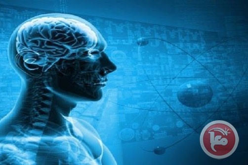 الدماغ البشري يحفظ المعلومات أثناء النوم