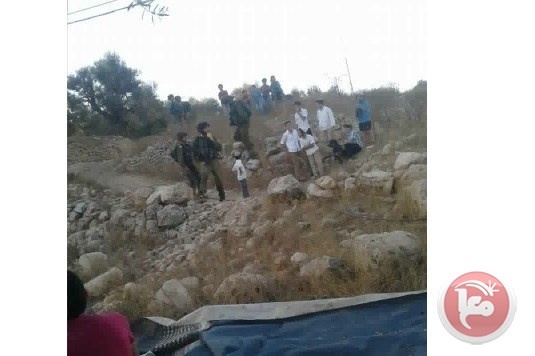مستوطنون يهاجمون عائلة أثناء قطفها الزيتون في تل رميدة