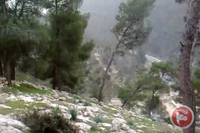 لجنة بيت أولا تطالب مجلس الوزراء بإعادة النظر يإدارة محمية وادي قف