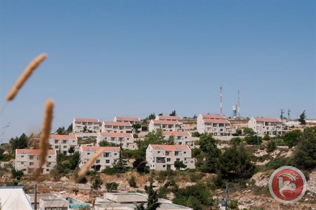 ازمة قطاع البناء الإسرائيلي: ارتفاع الاسعار وانهيار المقاولين