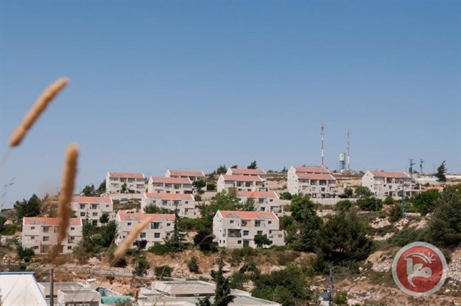 مجلس المستوطنات: سنرفع عدد المستوطنين بالضفة إلى مليون