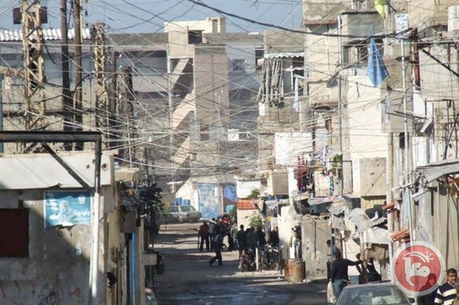 الديمقراطية: استهداف المخيمات بالآفات يهدف لضرب النسيج الإجتماعي