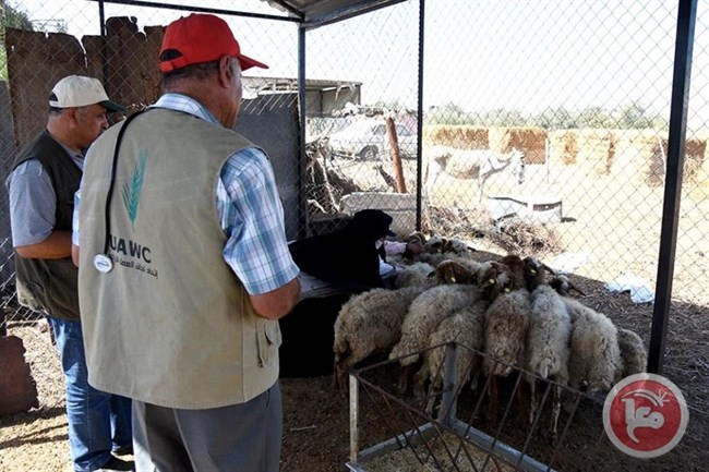 العمل الزراعي يواصل تنفيذ جملة من المشاريع بغزة