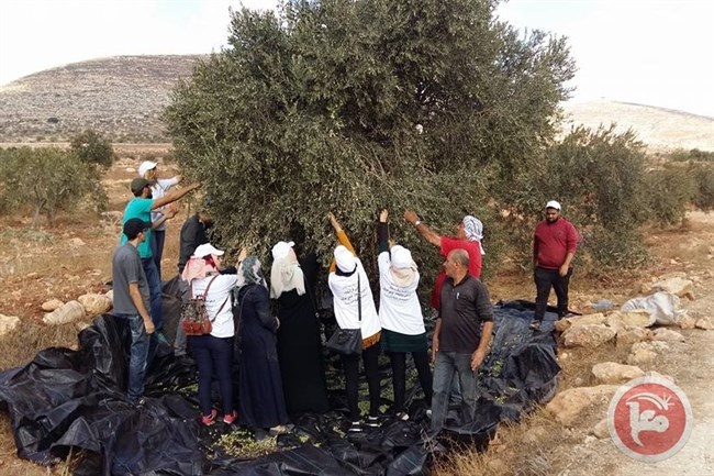 عطاء فلسطين بدعم من &quot;باديكو&quot; القابضة تنفذ عرضاً مسرحيا للأطفال